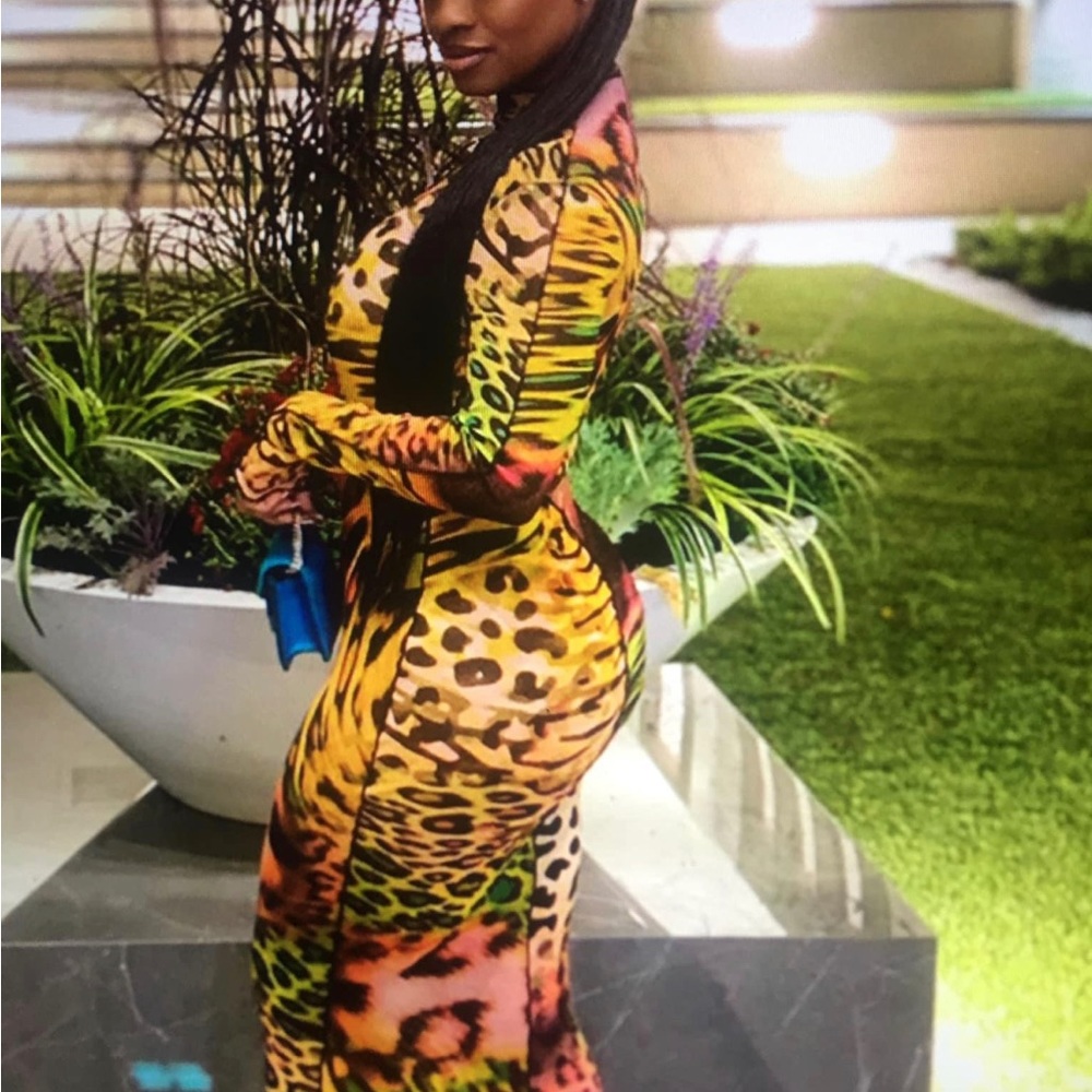 Woman Animal Print Bodycon Dress